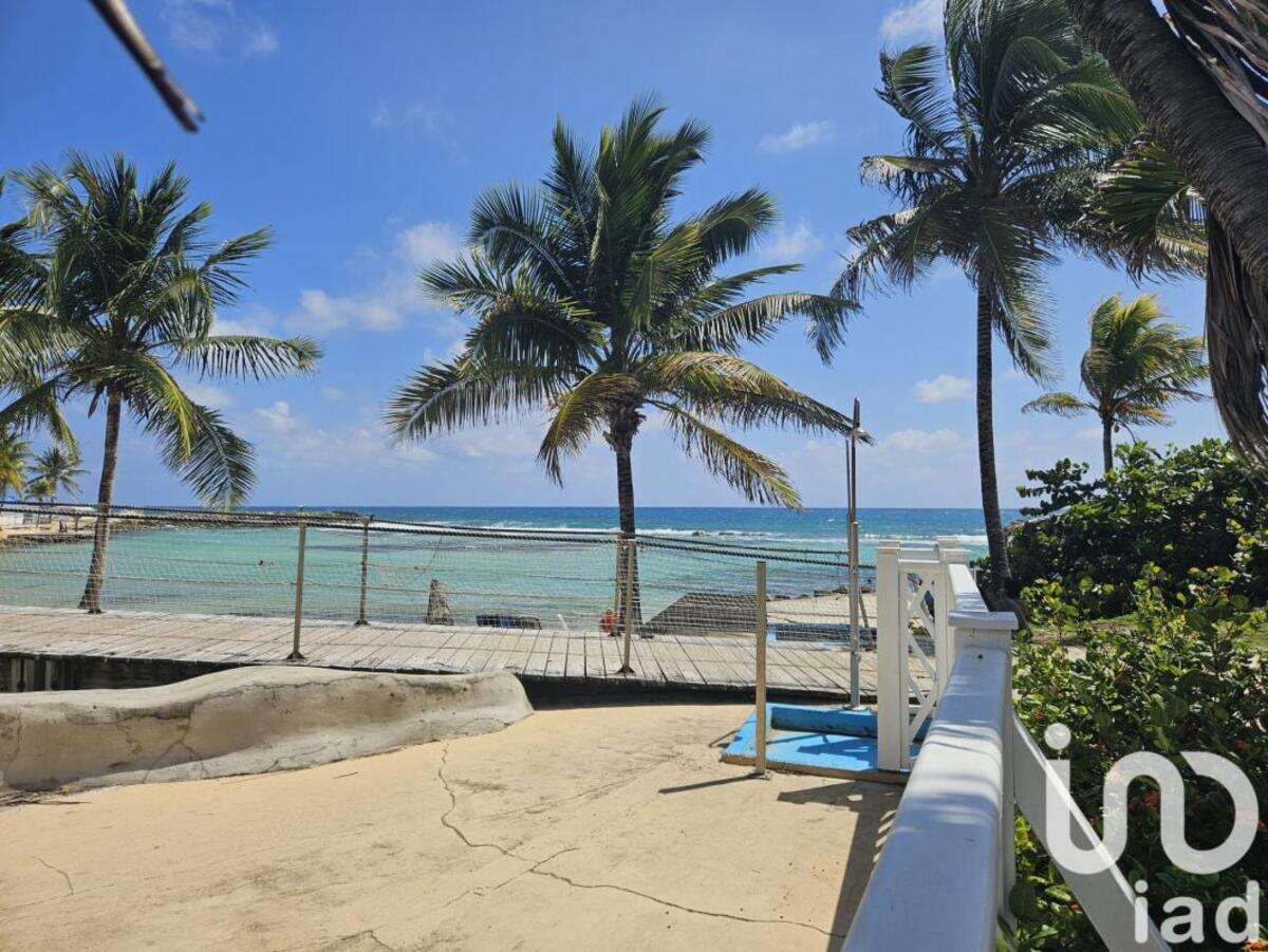 Appartement 1 pièce