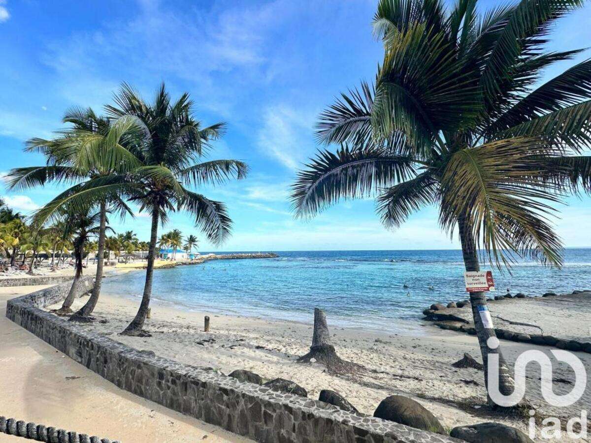 Appartement 1 pièce