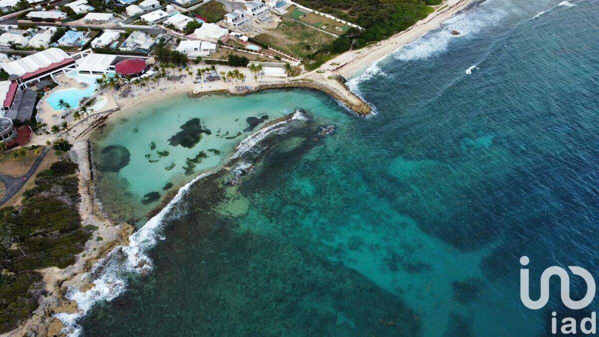 Appartement 1 pièce