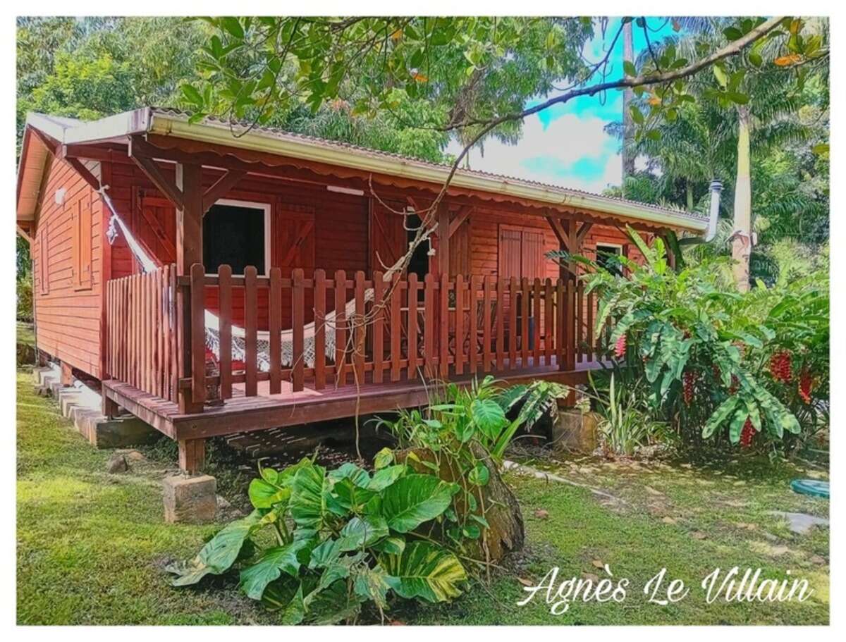 Maison sur Terrain Plat et Arboré