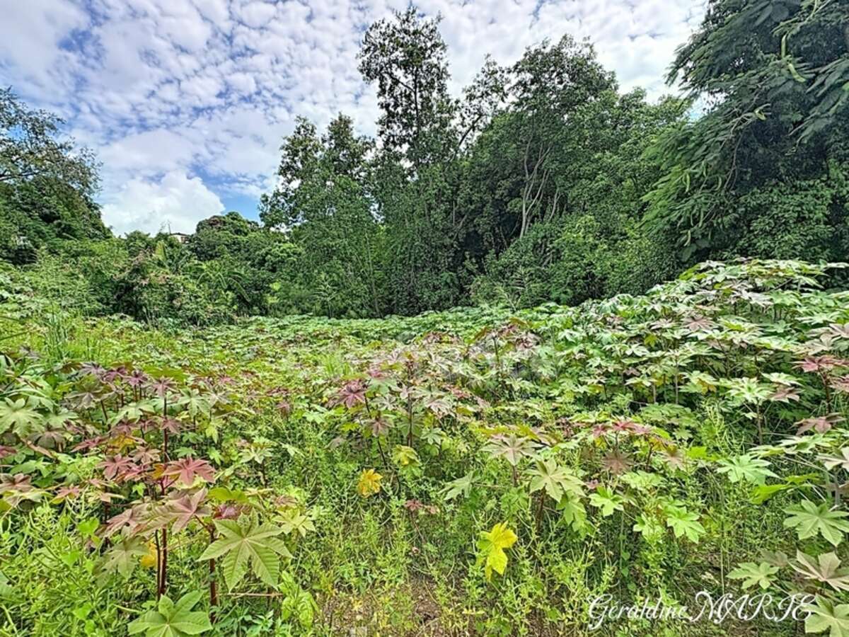 Terrain avec possibilité de construction résidentielle ou