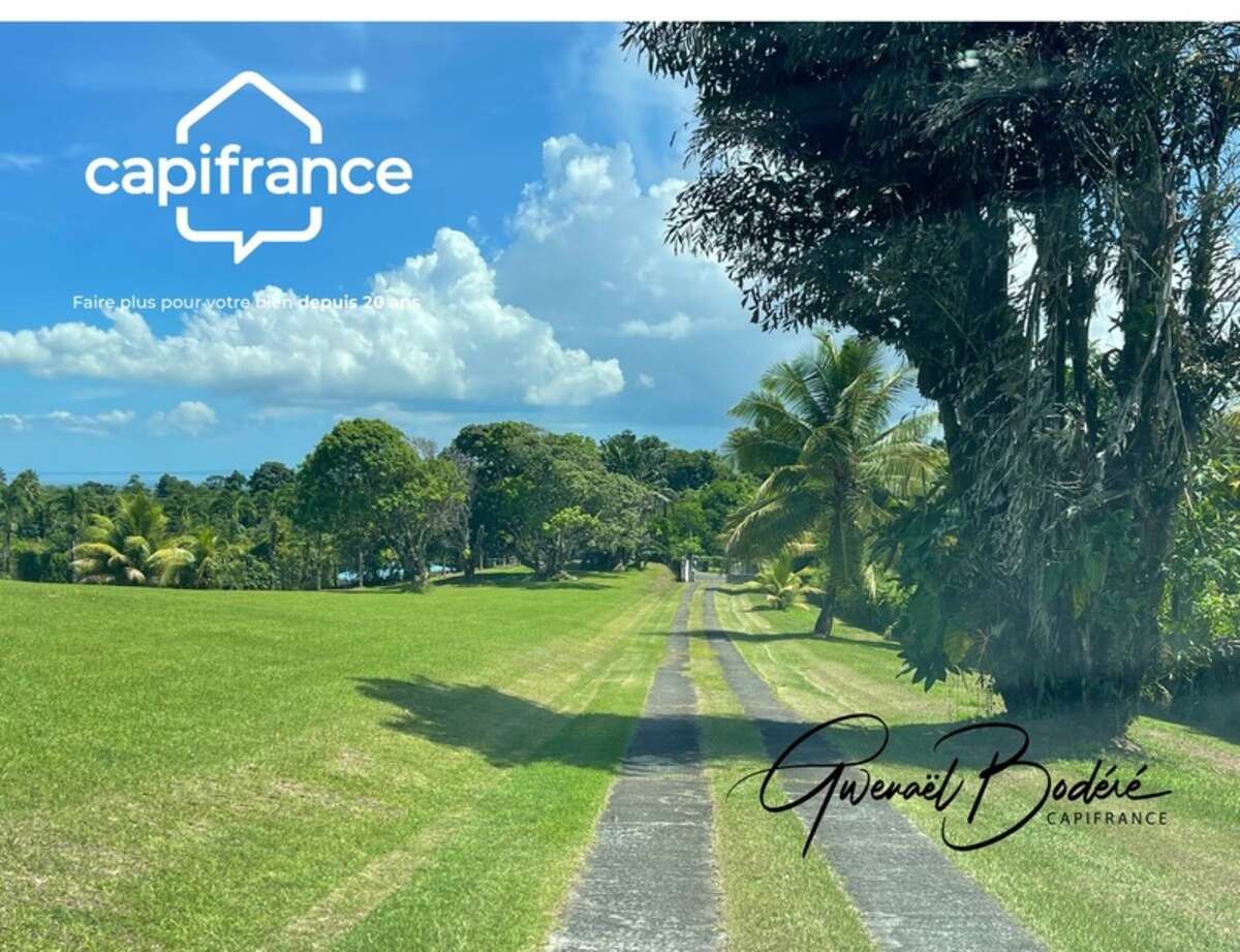 Terrain Petit Bourg (971)