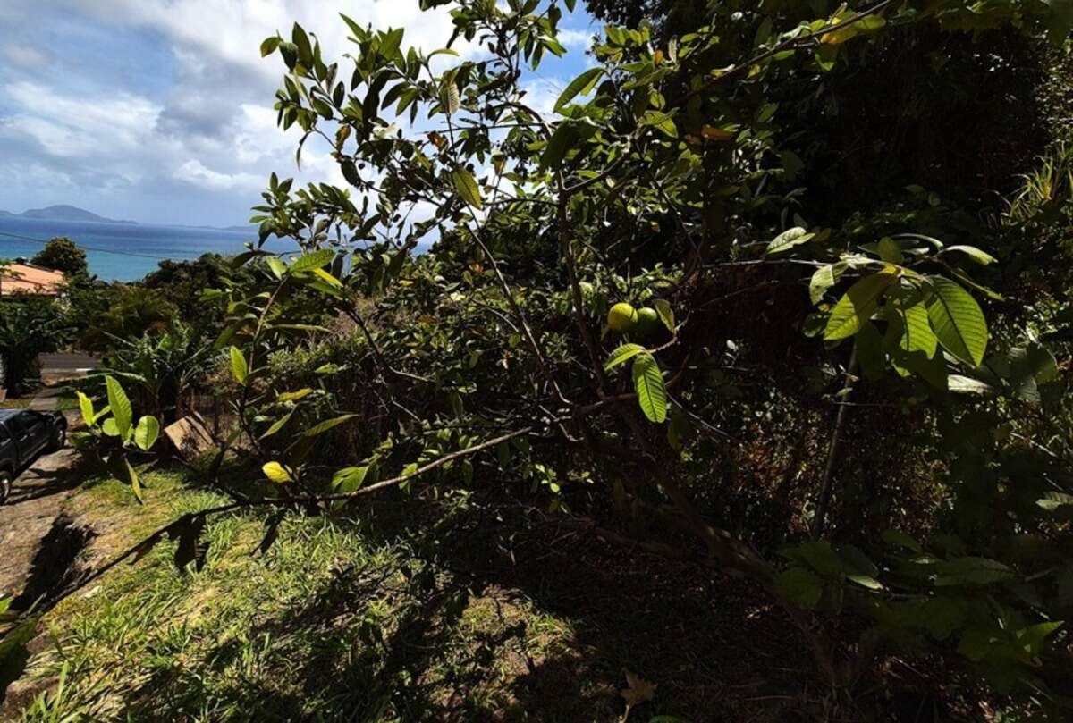 Maison 3 pièces Trois Rivieres (971)
