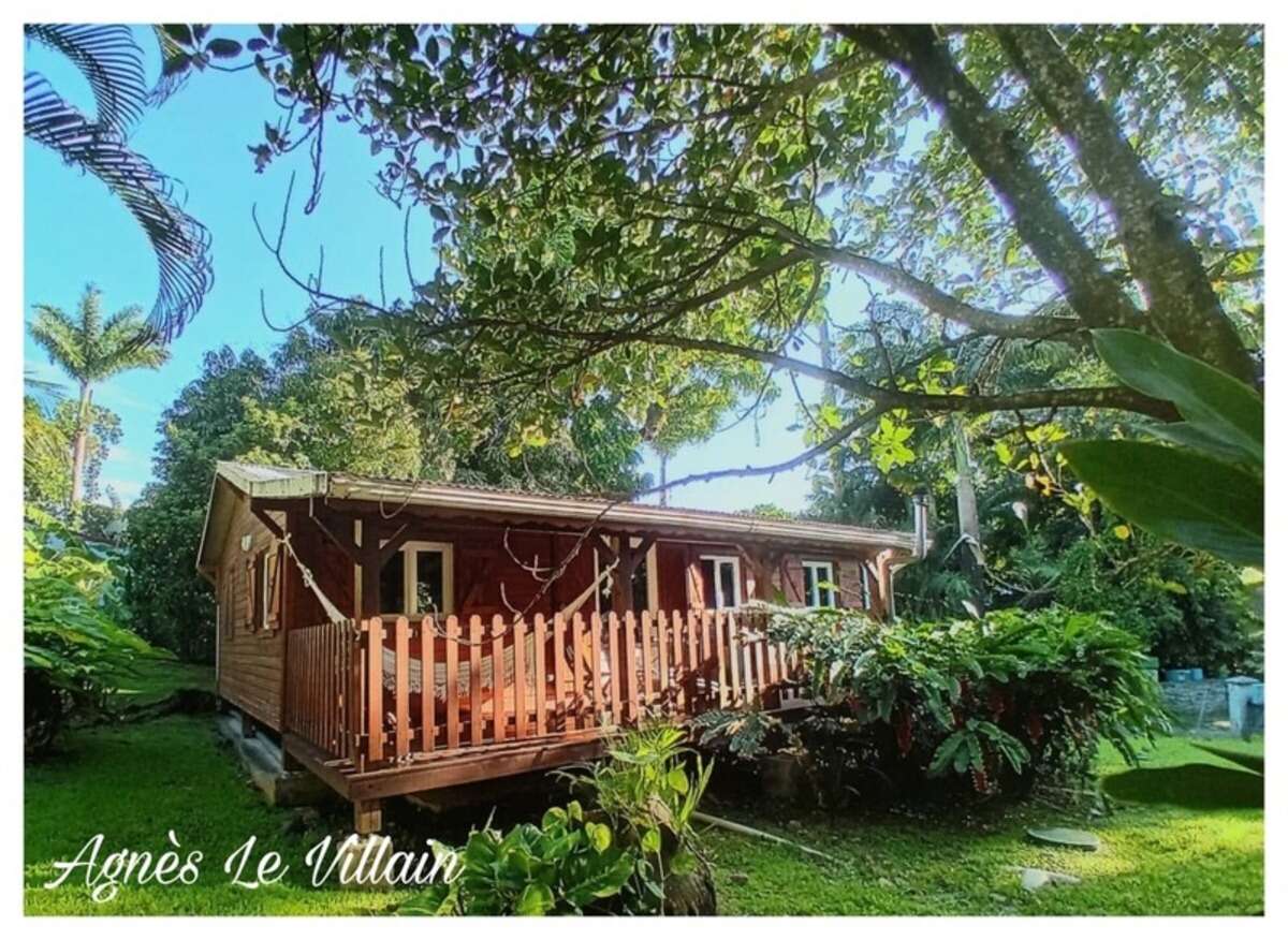 Maison en bois sur Terrain Arboré