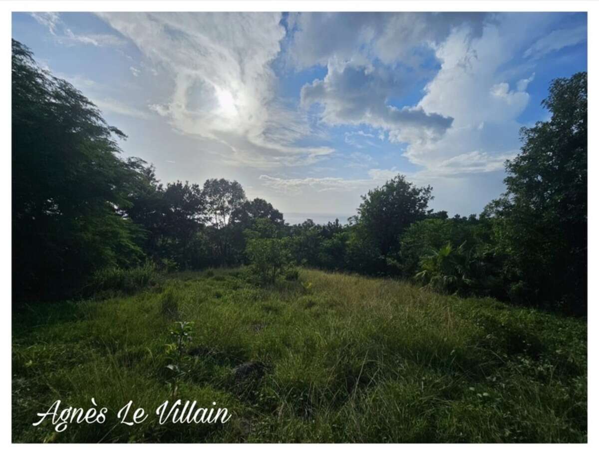 Terrain 2 983 m2 à Bouillante