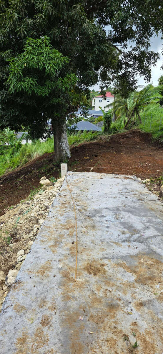 TERRAIN TABANON PETIT-BOURG