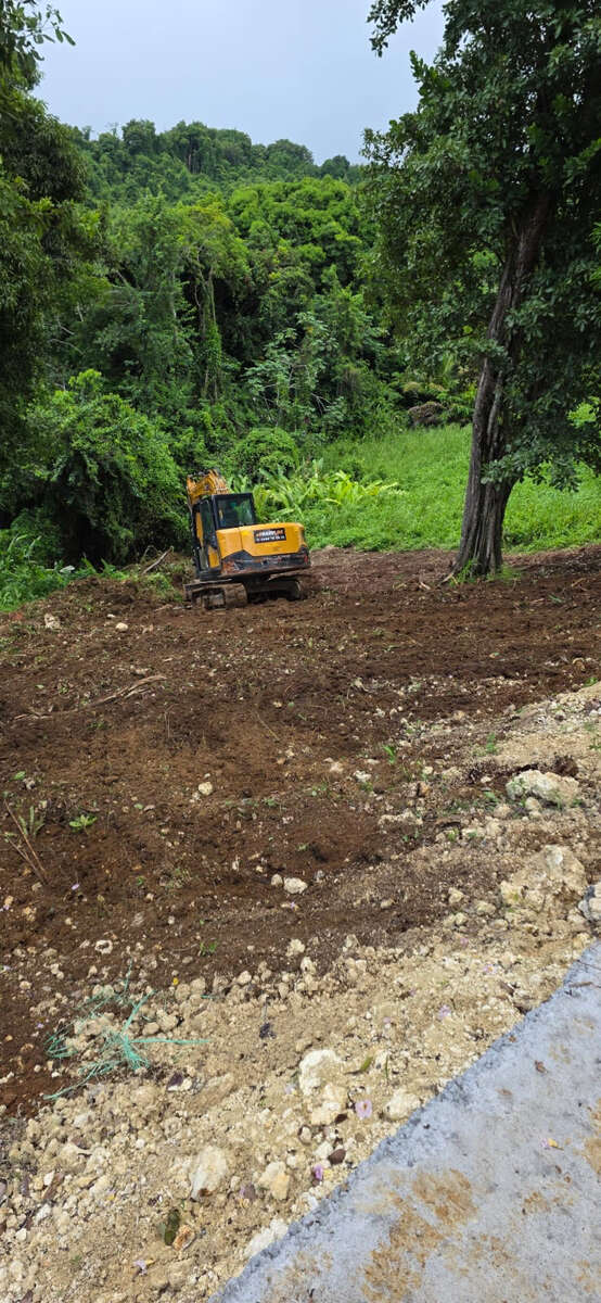 TERRAIN TABANON PETIT-BOURG