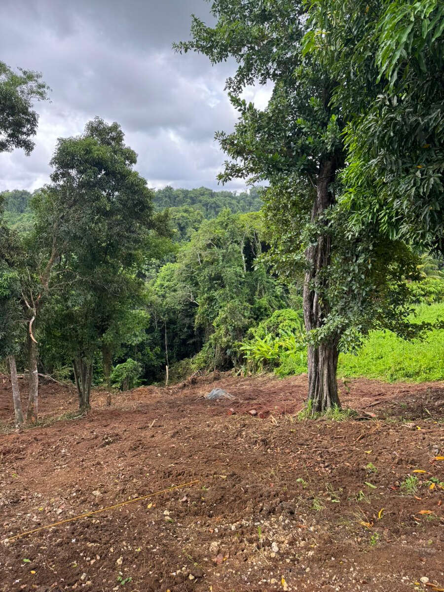 TERRAIN TABANON PETIT-BOURG