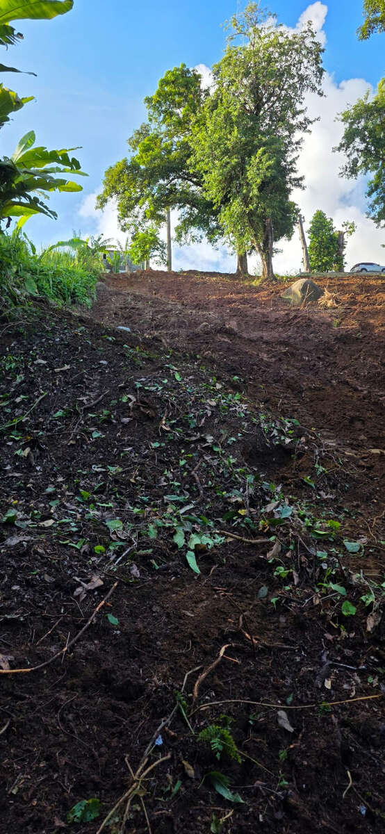 TERRAIN TABANON PETIT-BOURG