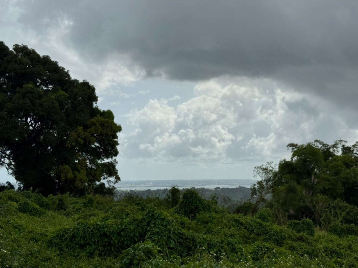 TERRAIN TABANON PETIT-BOURG